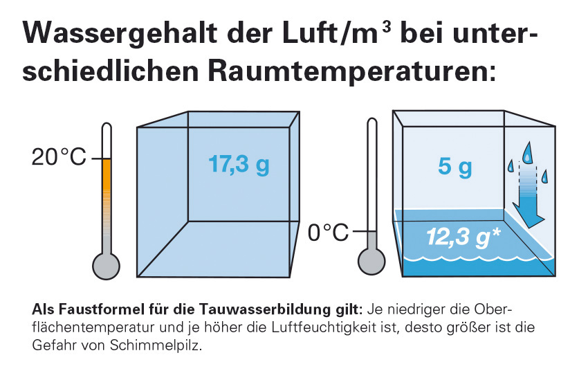 Auf die richtige Luft feuchtigkeit kommt es an